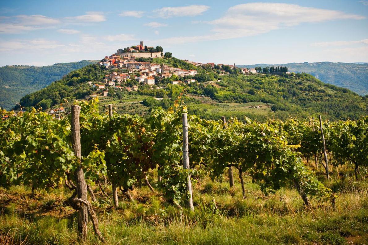 Apartman Fachin Motovun Exterior photo